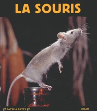 La Souris