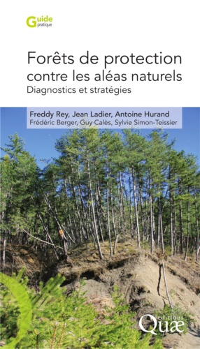 Forêts de protection contre les aléas naturels. Diagnostics et stratégies (Alpes du Sud françaises)
