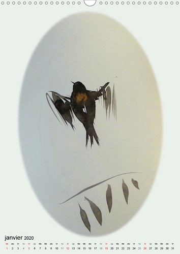 CALVENDO Animaux  Les oiseaux de Carros (Calendrier mural 2020 DIN A3 vertical). Oiseaux, aquarelles (Calendrier mensuel, 14 Pages )