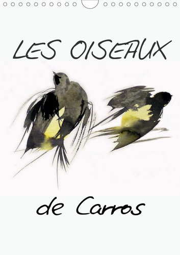 CALVENDO Animaux  Les oiseaux de Carros (Calendrier mural 2020 DIN A4 vertical). Oiseaux, aquarelles (Calendrier mensuel, 14 Pages )