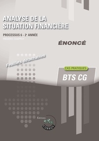 Frédéric Chappuy - Analyse de la situation financière Processus 6 du BTS CG - Enoncé.