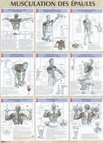 Frédéric Delavier - Musculation des épaules - Poster 80x60 cm.