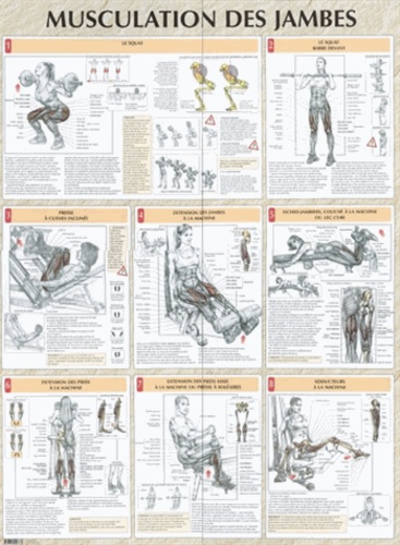 Musculation des jambes - Poster de Frédéric Delavier - Livre - Decitre