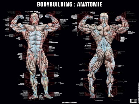 Frédéric Delavier - Poster bodybuilding anatomie.