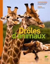 Frédéric Denhez - Drôles d'animaux.