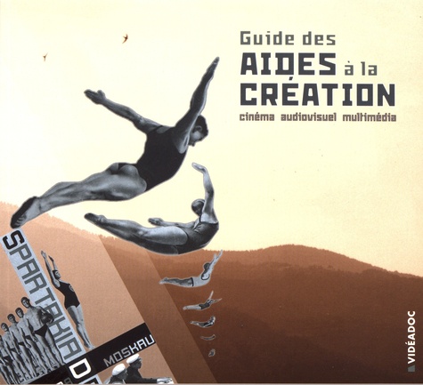 Frédéric Goldbronn et Brigitte Larguèze - Guide des aides à la création cinématographique, audiovisuelle et multimédia.