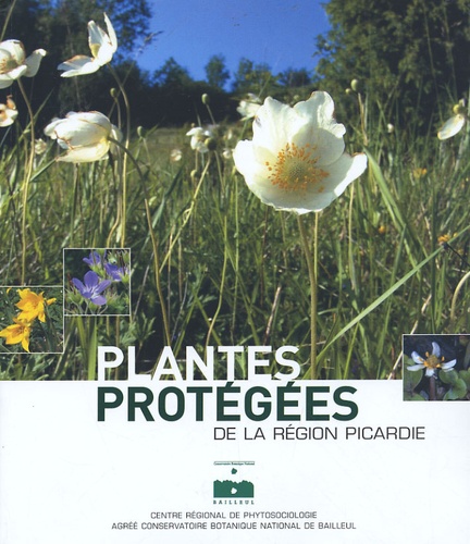 Plantes protégées de la région Picardie