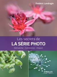 Frédéric Landragin - Les secrets de la série photo - Démarche - Cohérence - Impact.