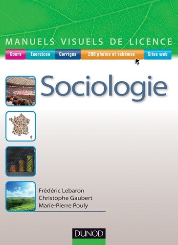 Frédéric Lebaron - Manuel visuel de sociologie.