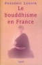 Frédéric Lenoir - Le bouddhisme en France.