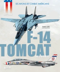 Le Grumman F-14 Tomcat au combat