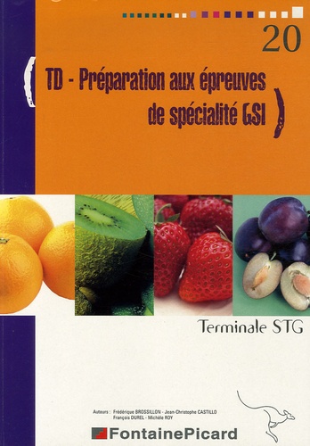 Frédérique Brossillon et Jean-Christophe Castillo - Gestion des systèmes d'information Tle STG - TD Préparation aux épreuves de spécialité GSI.