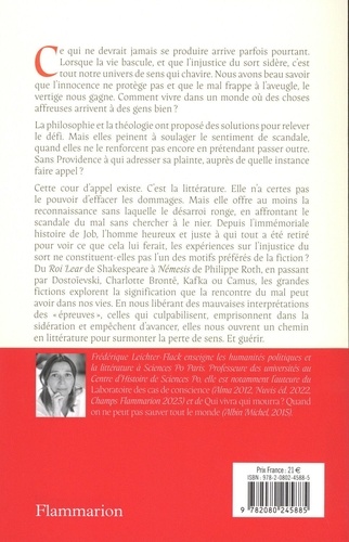 Pourquoi le mal frappe les gens bien ?. La littérature face au scandale du mal