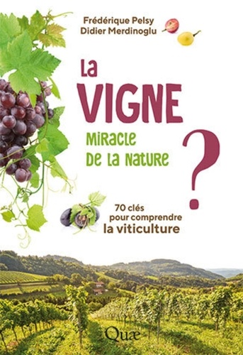 La vigne, miracle de la nature ?. 70 clés pour comprendre la viticulture