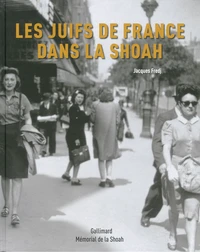Les Juifs de France dans la Shoah