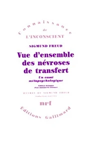 Vue d'ensemble des névroses de transfert