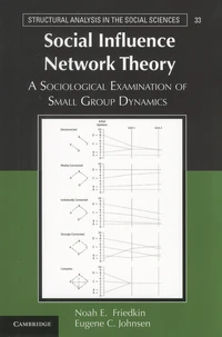 Social Influence Network Theory