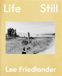 Life Still