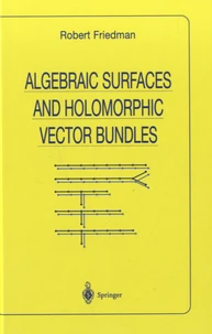 Algebraic Surfaces and Holomorphic Vector Bundles