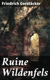 Ruine Wildenfels