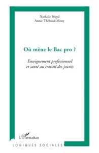 Où mène le Bac pro ?
