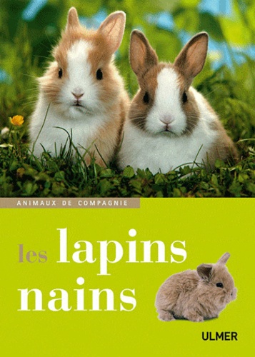 Les lapins nains - Occasion