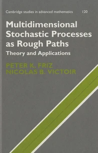 Multidimensional Stochastic Processes as Rough Paths