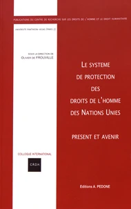 Le système de protection des droits de l'homme des Nations Unies