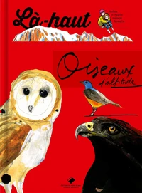 Oiseaux d'altitude