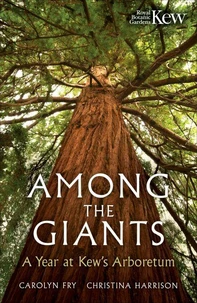 Among the Giants