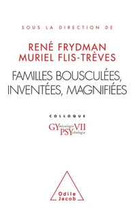 Familles bousculées, inventées, magnifiées