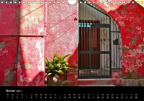 Dans le Rouge (Calendrier mural 2017 DIN A4 horizontal). Un fil rouge de mois en mois (Calendrier mensuel, 14 Pages )