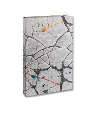 Masahisa Fukase hibi