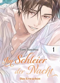 Im Schleier der Nacht: Das Erwachen 01 - Band 1