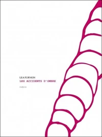 Les accidents d'ombre