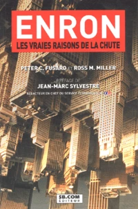 Enron. Les Vraies Raisons De La Chute