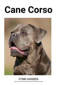 Cane Corso