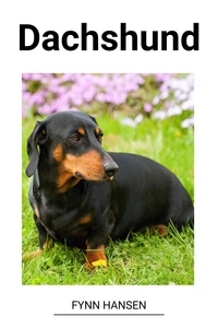 Dachshund