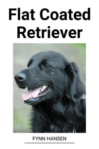 Flat Coated Retriever