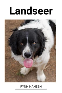 Landseer