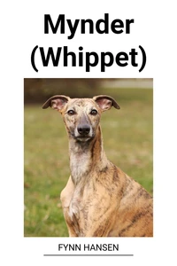 Mynder (Whippet)