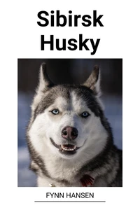 Sibirsk Husky