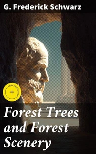 Forest Trees and Forest Scenery