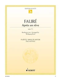 Après un rêve