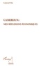 Gabriel Nlo - Cameroun : mes réflexions économiques.