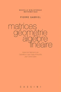 Matrices, Geometrie, Algebre Lineaire