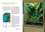 Créer un terrarium tropical humide. Installation, plantation, entretien, guide complet des plantes
