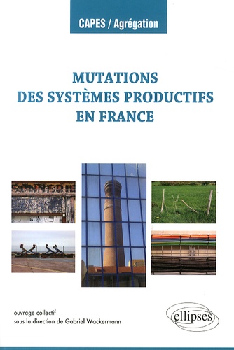 Les mutations des systèmes productifs en France - Occasion