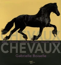 Chevaux