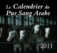 Le pur-sang arabe